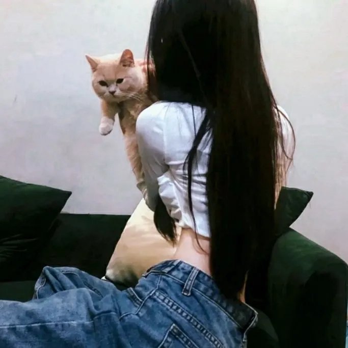 八重子的低音 在线观看